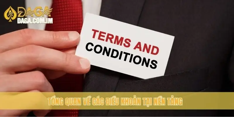 Tổng quan về các điều khoản tại nền tảng