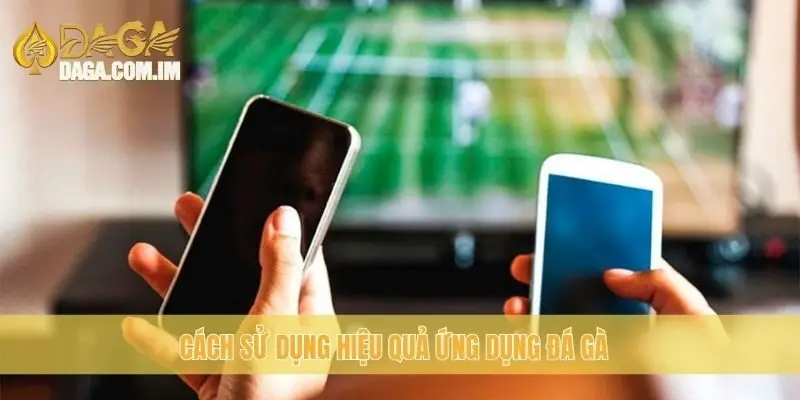 Cách sử dụng hiệu quả ứng dụng đá gà 